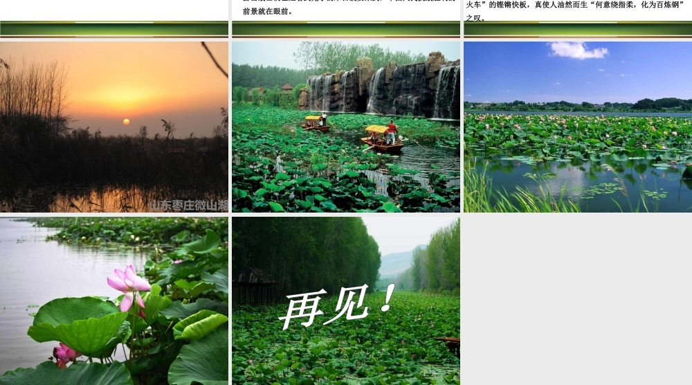 《弹起我心爱的土琵琶》课件