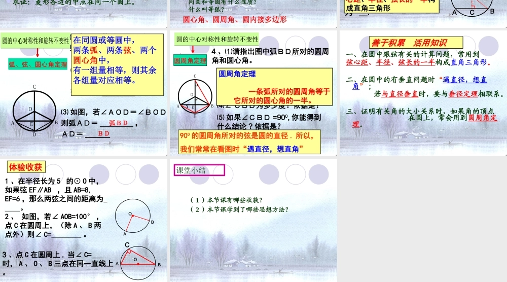 圆的有关性质复习