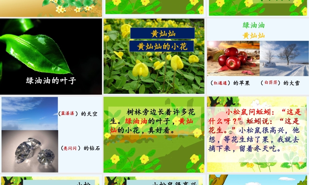 (部编)人教2011课标版一年级上册小松鼠找花生果