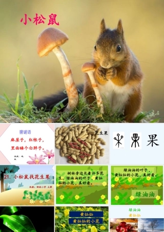 (部编)人教2011课标版一年级上册小松鼠找花生果