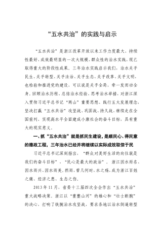 “五水共治”的实践与启示-调研报告