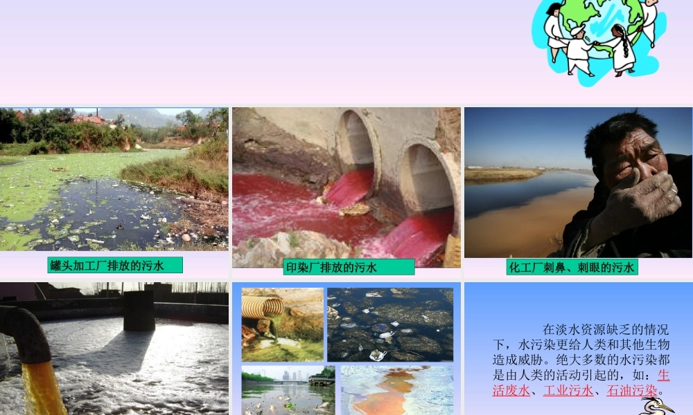 六下科学4-6污水和污水处理ppt