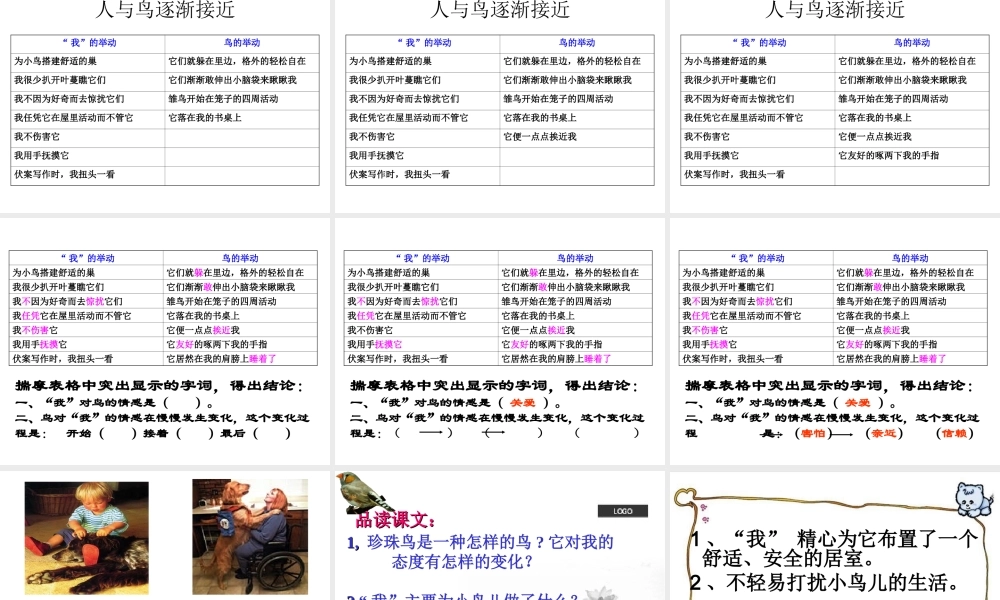 《珍珠鸟》课件