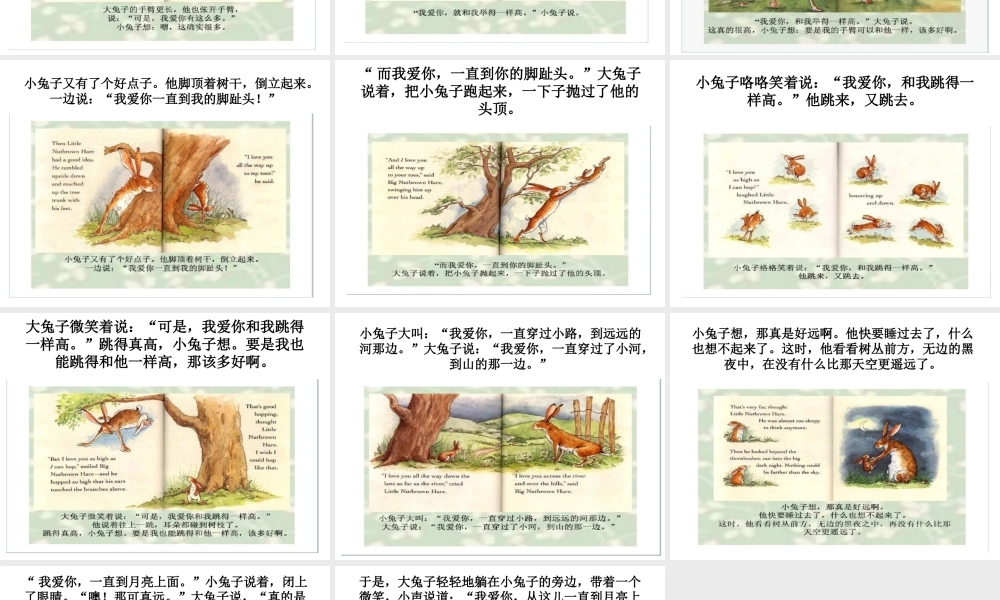 《猜猜我有多爱你》电子书