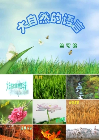 《大自然的语言》课件4