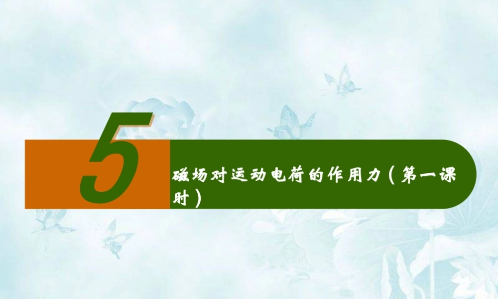 4.磁场对运动电荷的作用——洛伦兹力