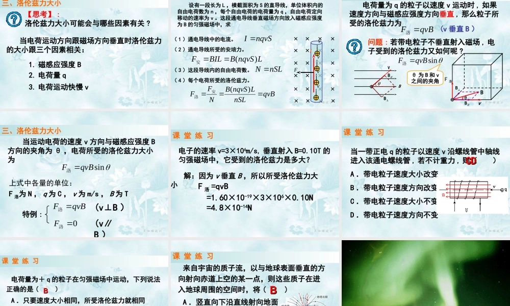 4.磁场对运动电荷的作用——洛伦兹力