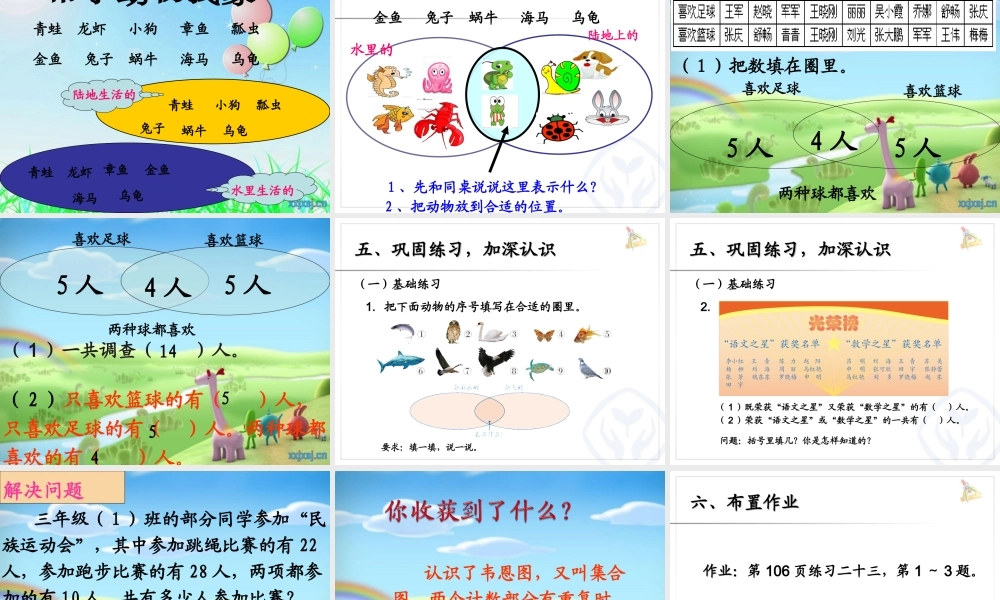 小学数学人教2011课标版三年级集合教学课件-(3)