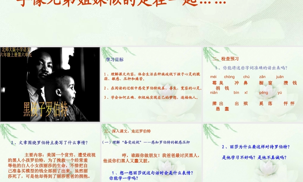 黑孩子罗伯特-(3)