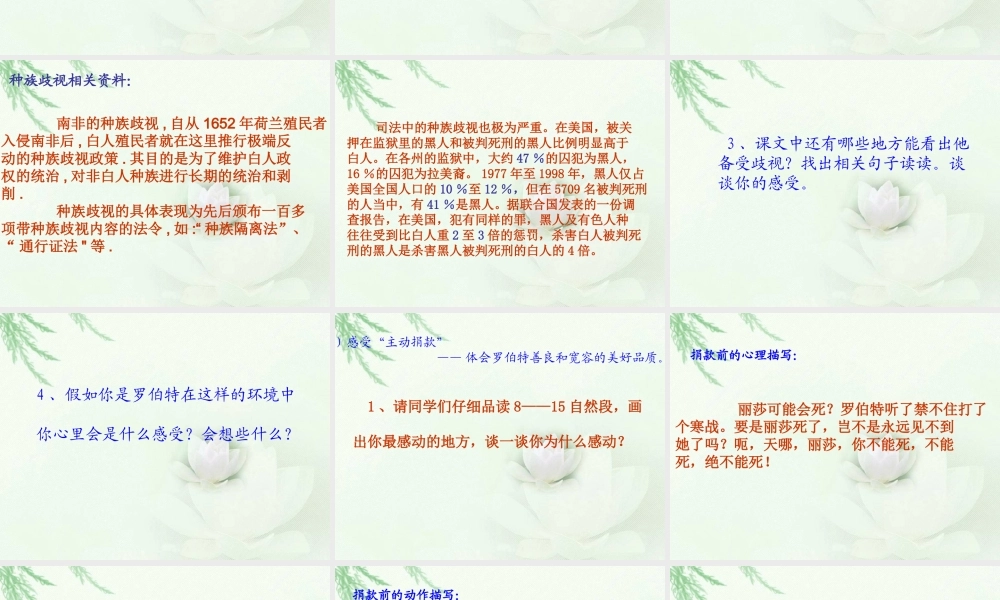 黑孩子罗伯特-(3)