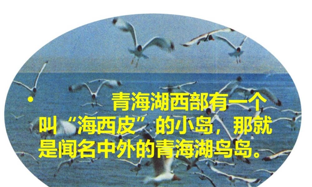《万以内的加法和减法(一)》