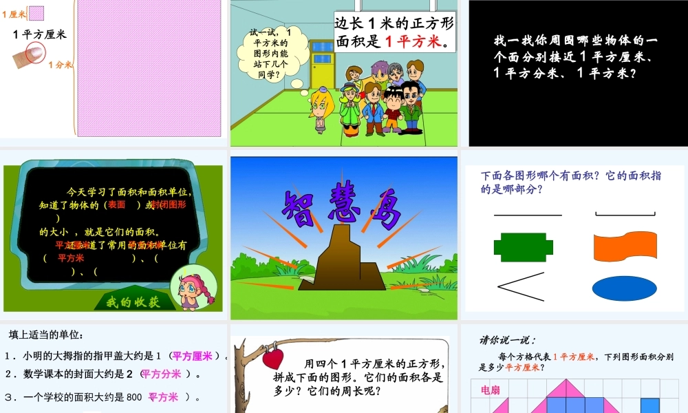 小学数学北师大2011课标版三年级面积和面积单位-(3)
