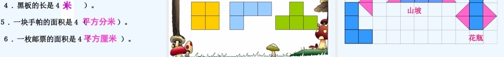 小学数学北师大2011课标版三年级面积和面积单位-(3)