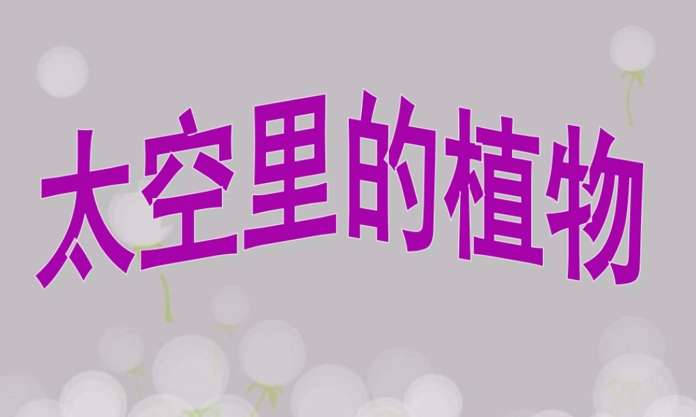 《太空里的植物》课件3