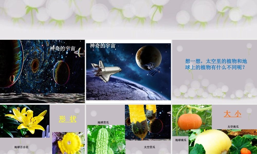 《太空里的植物》课件3