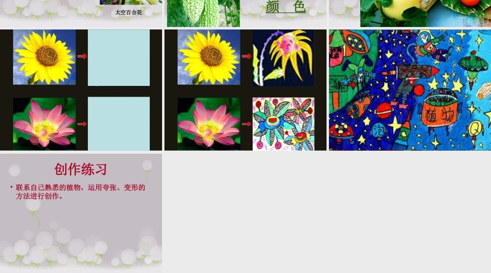 《太空里的植物》课件3