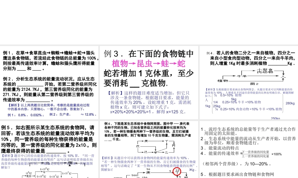 生态系统中能量流动的计算