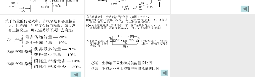 生态系统中能量流动的计算