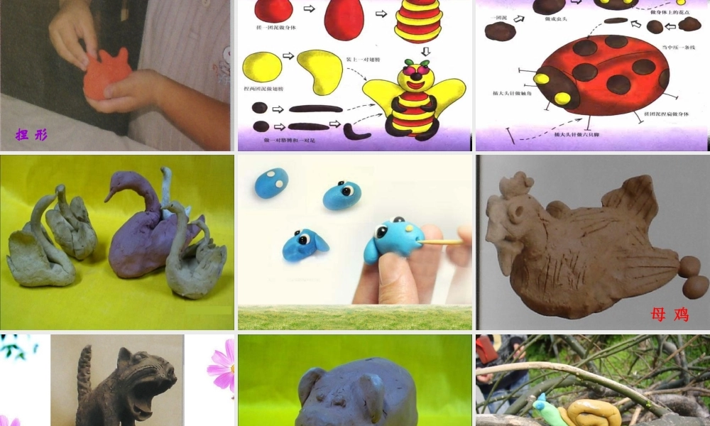 《彩塑动物》课件