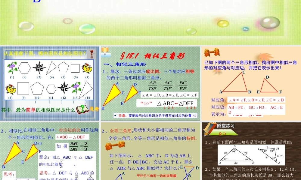 九年级数学相似三角形的概念