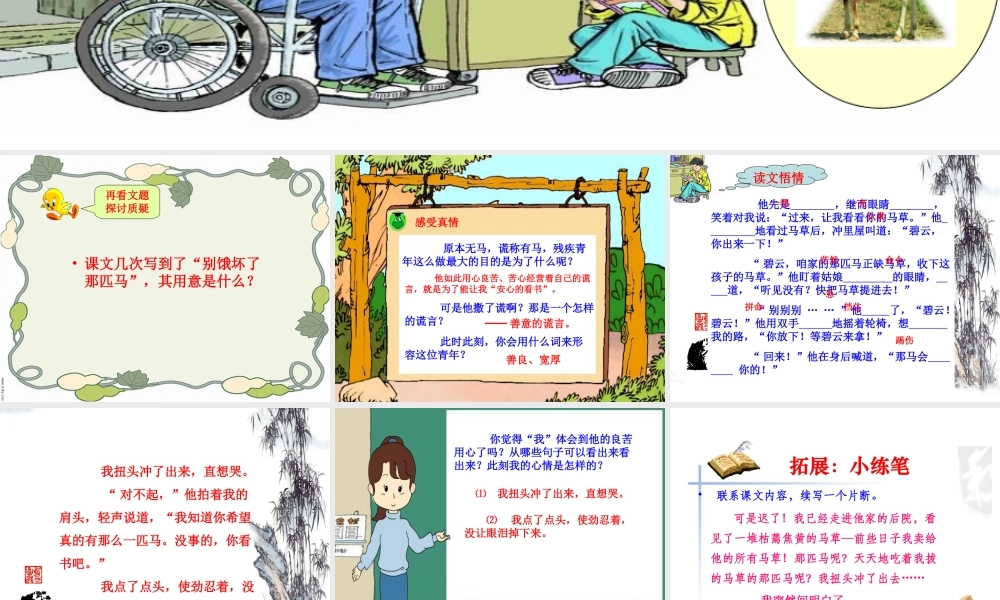 10别饿坏了那匹马PPT课件