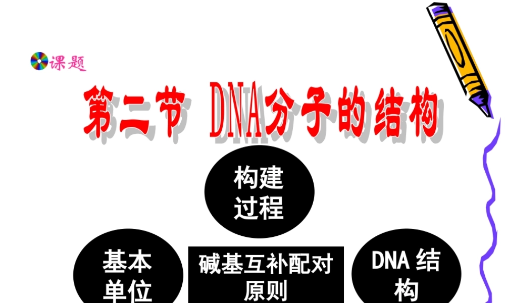 第二节-DNA分子的结构