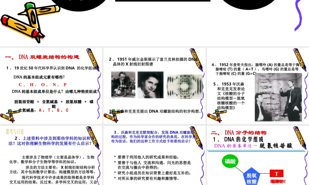 第二节-DNA分子的结构