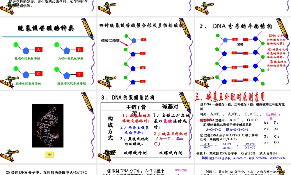 第二节-DNA分子的结构