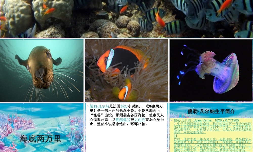 海底两万里阅读展示课