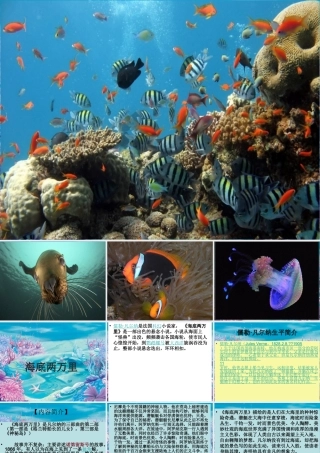 海底两万里阅读展示课