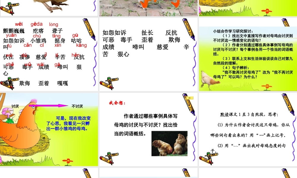 16《母鸡》
