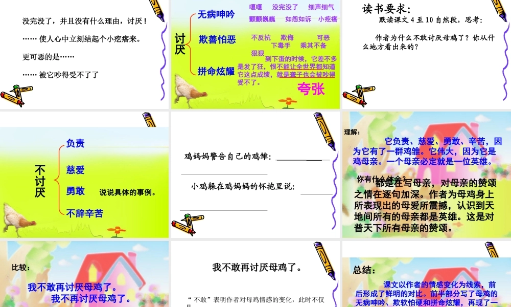 16《母鸡》