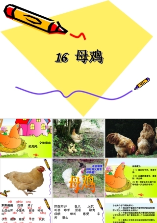 16《母鸡》