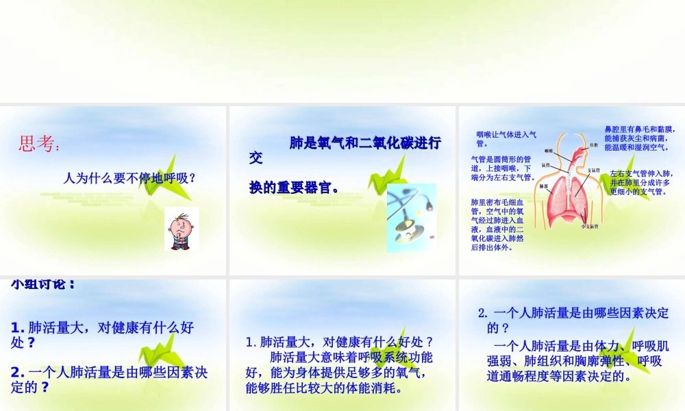 《呼吸不停的肺》课件1