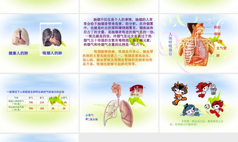 《呼吸不停的肺》课件1