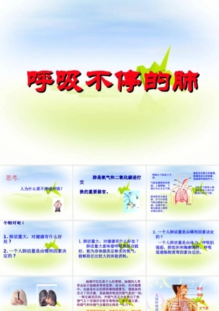 《呼吸不停的肺》课件1