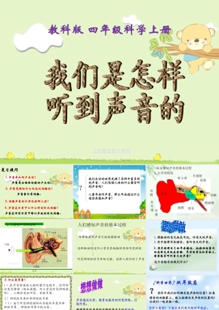 (教科版)四年级科学上册课件-我们是怎样听到声音的(1)
