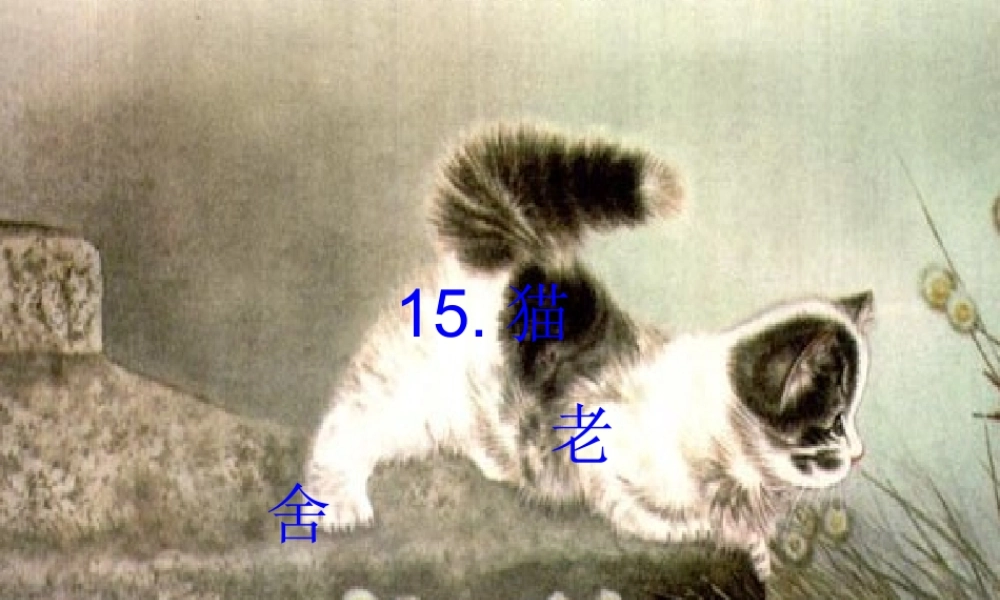 《猫》自制课件