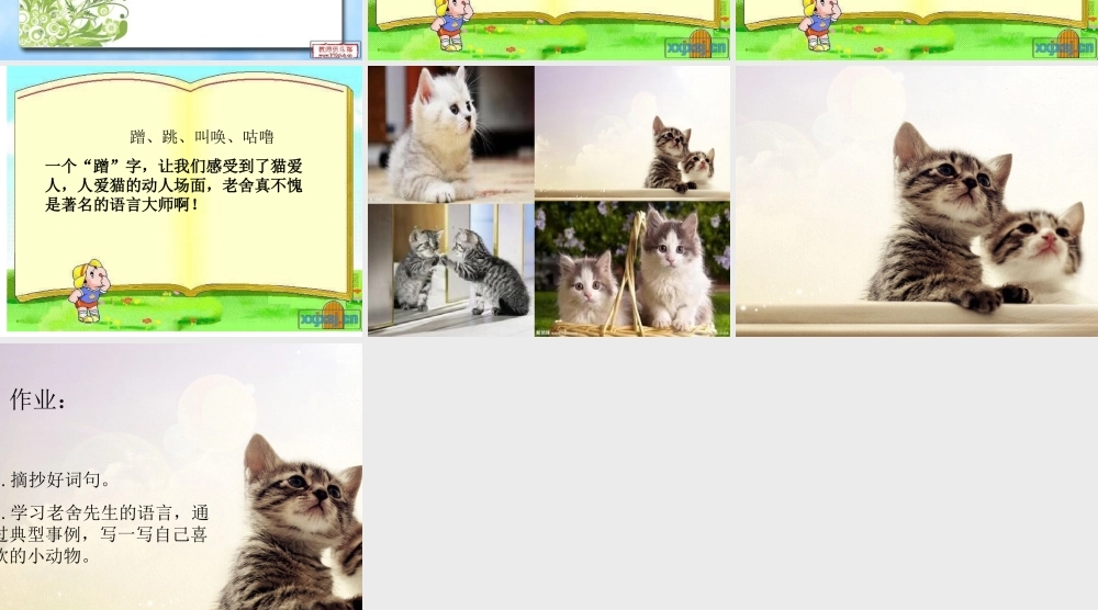 《猫》自制课件