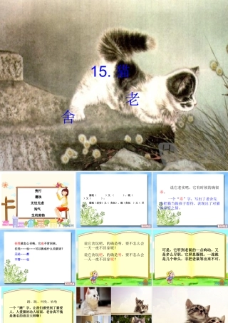 《猫》自制课件