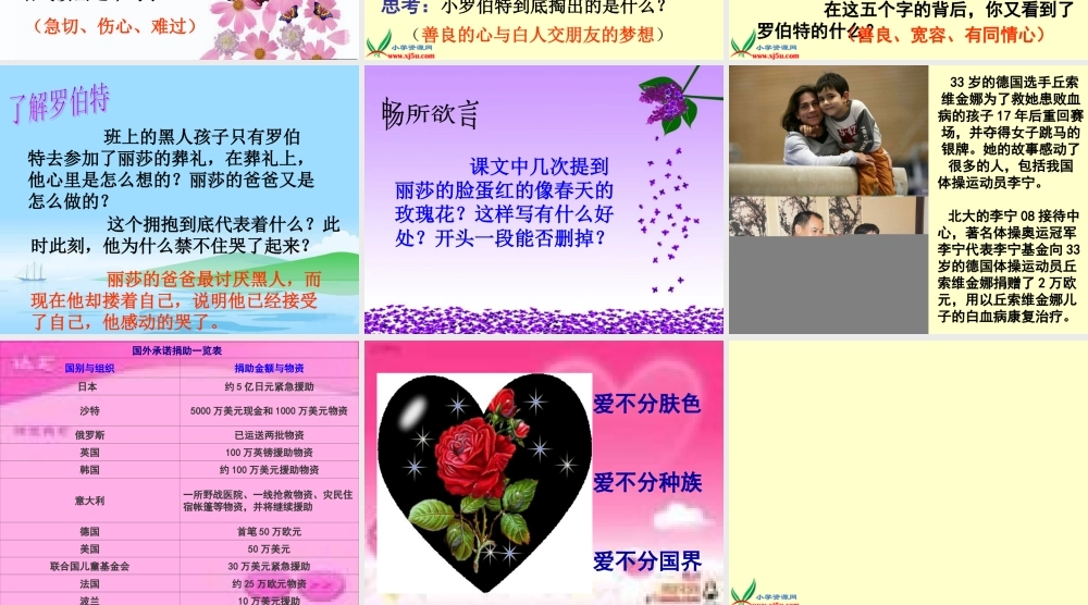 北师大版六年级语文上册《黑孩子罗伯特》PPT课件
