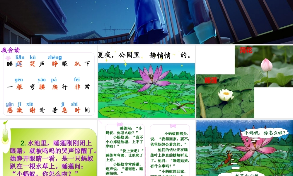 《夏夜多美》课件