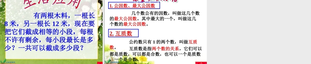 北师大版数学五年级上册《找最大公因数》PPT课件-(2)