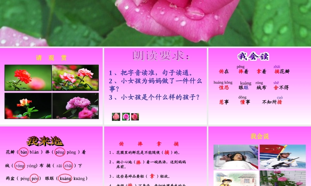 《花瓣飘香》课件
