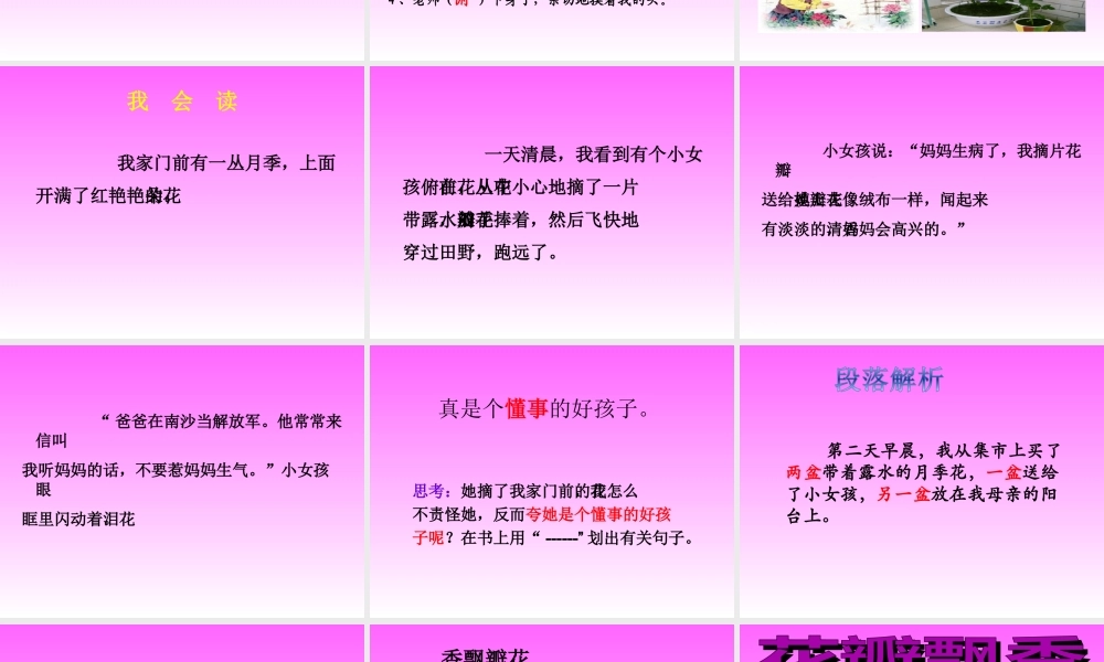 《花瓣飘香》课件