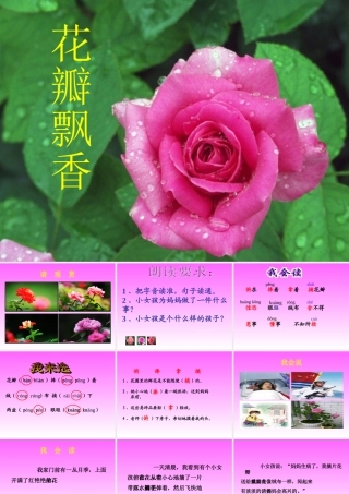 《花瓣飘香》课件