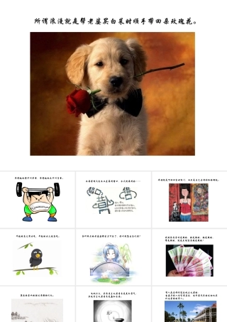 一张图一句话-诉说人生哲理.ppsma13