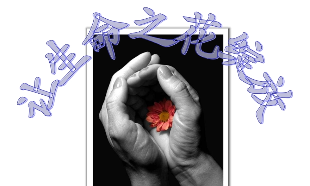 让生命之花绽放课件