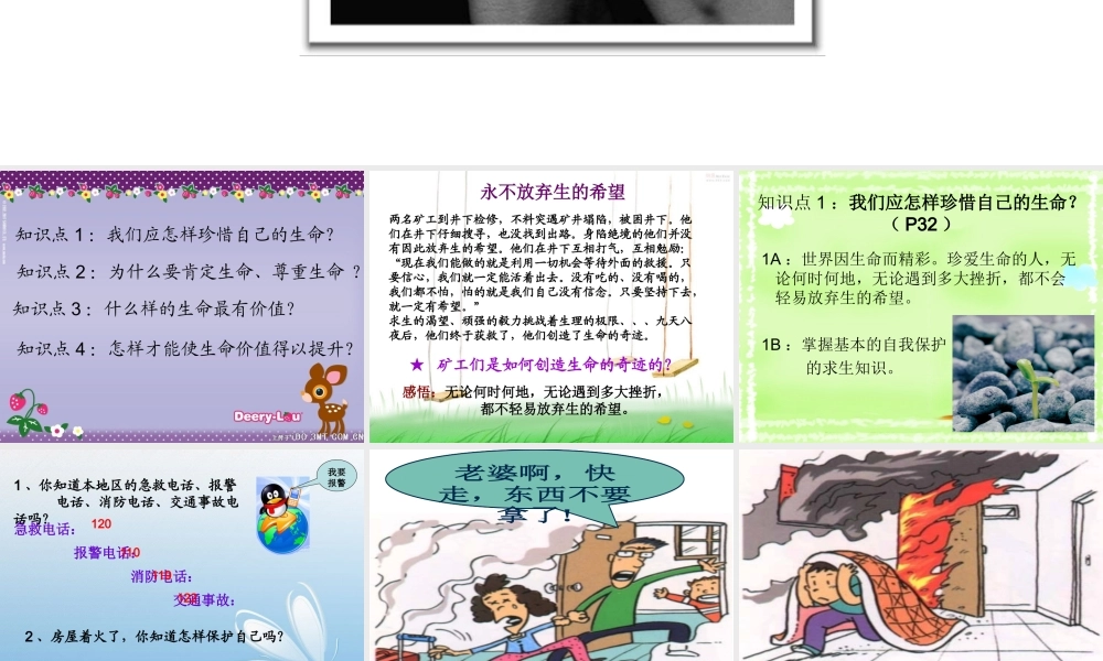 让生命之花绽放课件