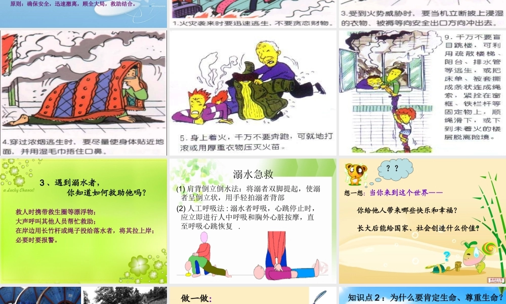 让生命之花绽放课件